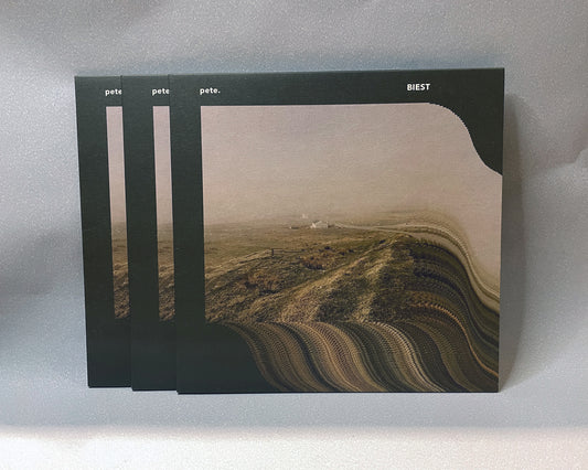 LAGERFUND: BIEST | Vinyl 10"